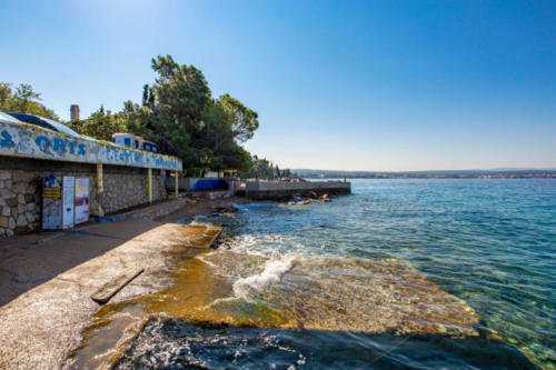 Plaža za pse